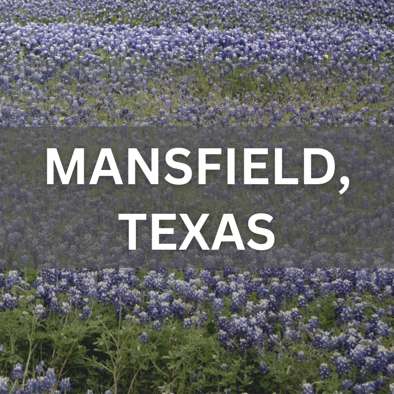 Mansfield, Texas real estate surrounded by blooming bluebonnets, showcasing local neighborhoods and natural beauty.