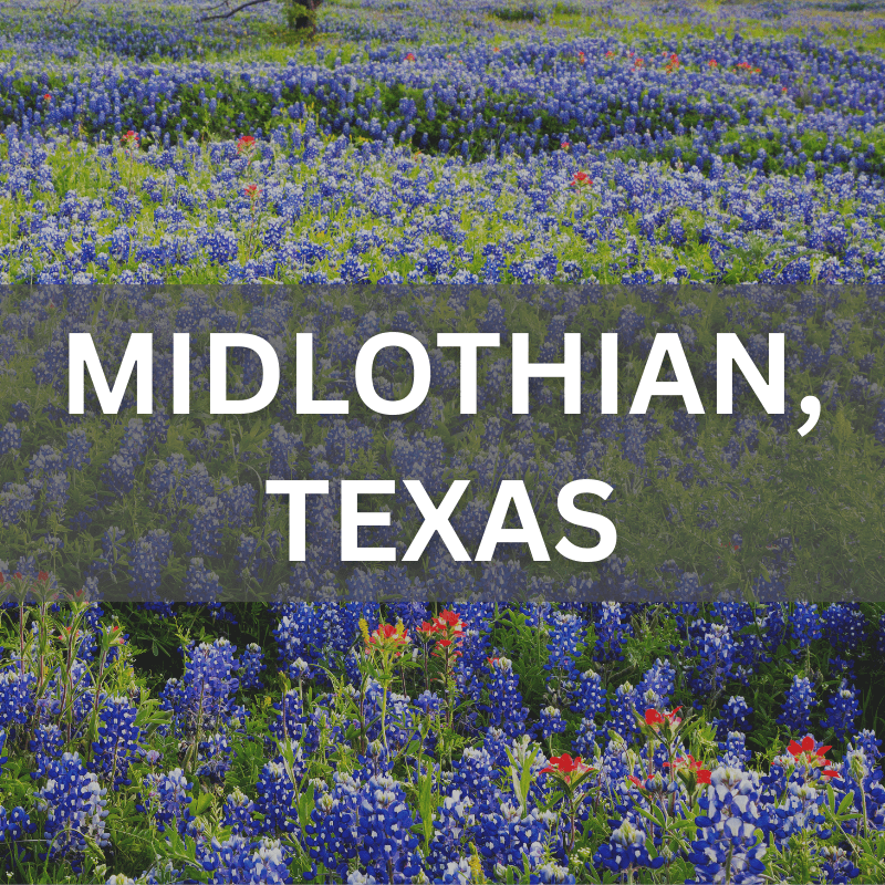 Midlothian, Texas real estate surrounded by blooming bluebonnets, showcasing local neighborhoods and natural beauty.