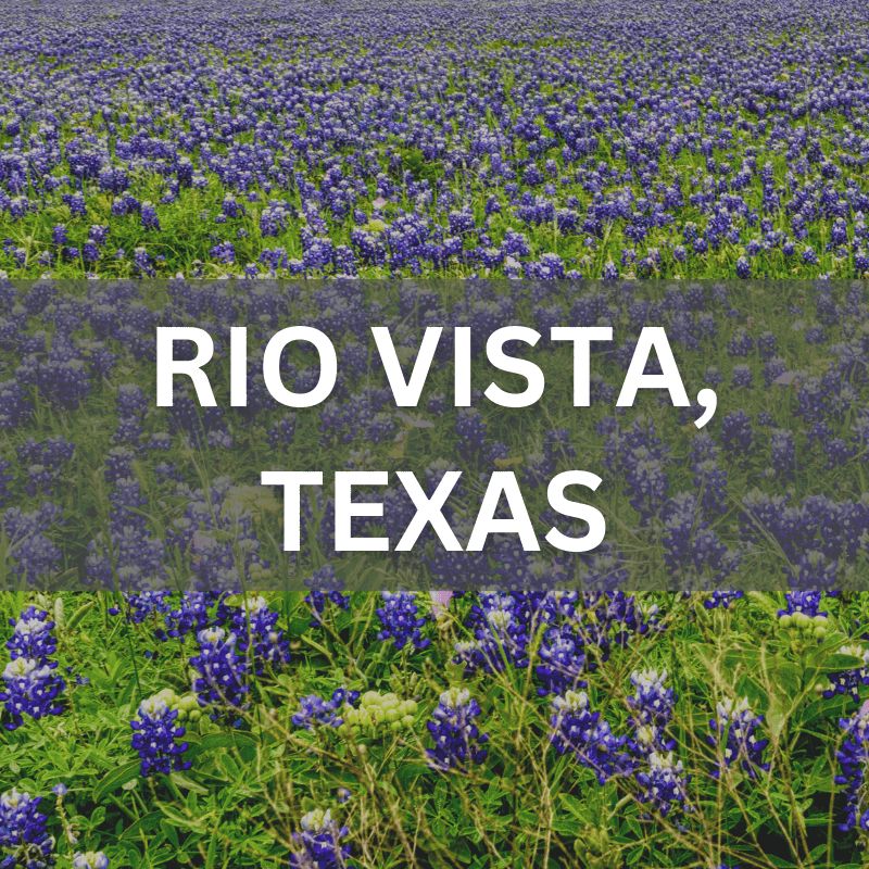 Rio Vista, Texas real estate surrounded by blooming bluebonnets, showcasing local neighborhoods and natural beauty.
