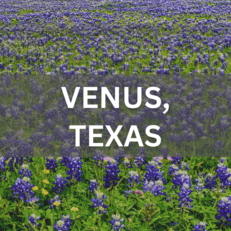 Venus, Texas real estate surrounded by blooming bluebonnets, showcasing local neighborhoods and natural beauty.
