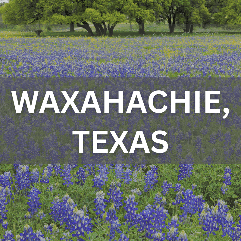 Waxahachie, Texas real estate surrounded by blooming bluebonnets, showcasing local neighborhoods and natural beauty.