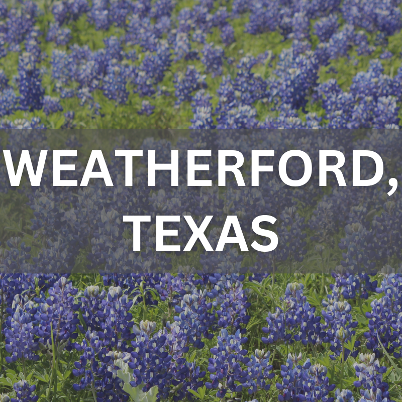 Weatherford, Texas real estate surrounded by blooming bluebonnets, showcasing local neighborhoods and natural beauty.