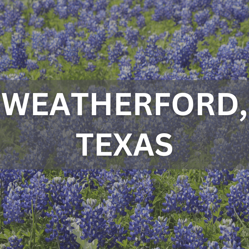 Weatherford, Texas real estate surrounded by blooming bluebonnets, showcasing local neighborhoods and natural beauty.