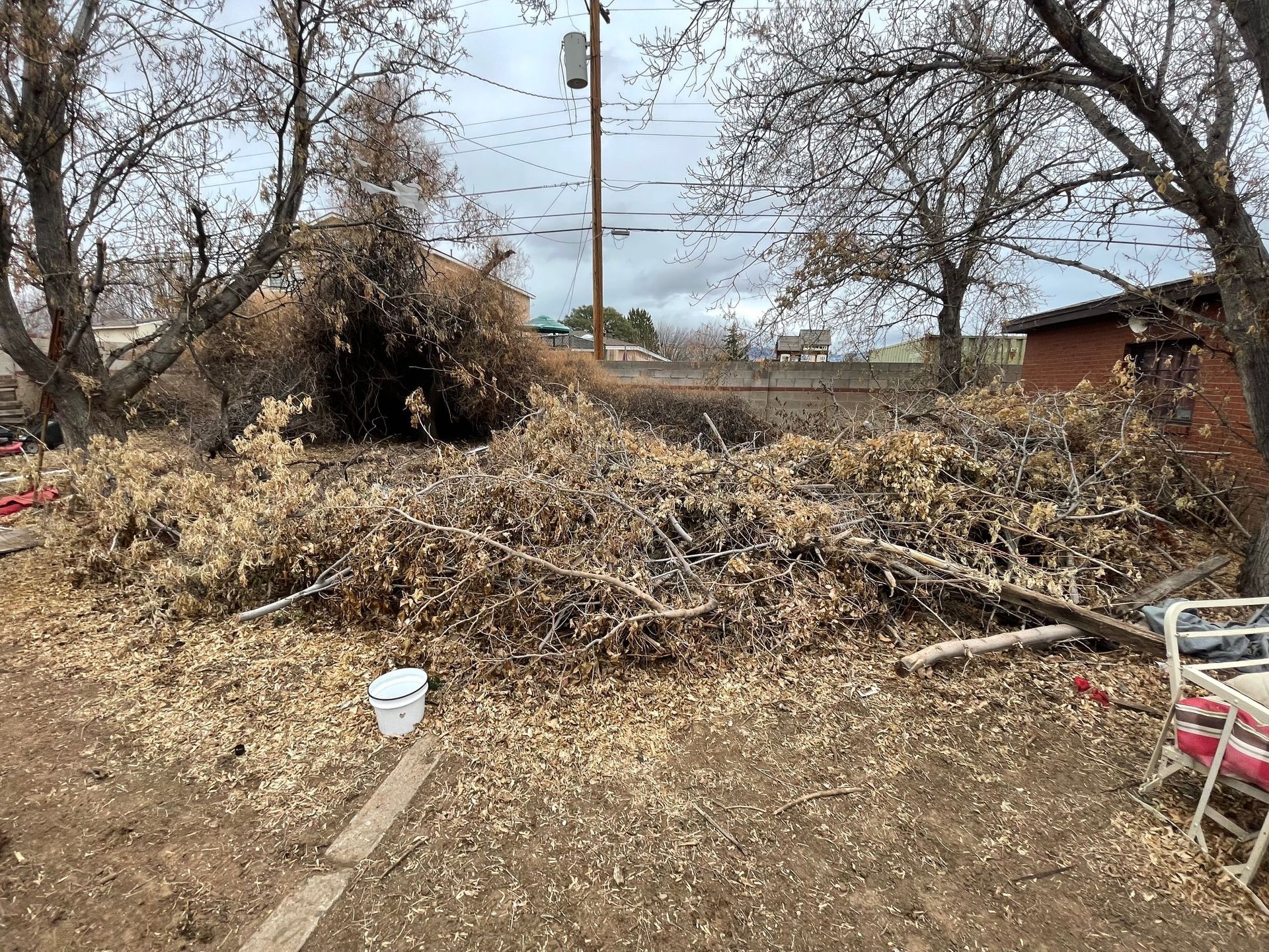 junk removal rio rancho