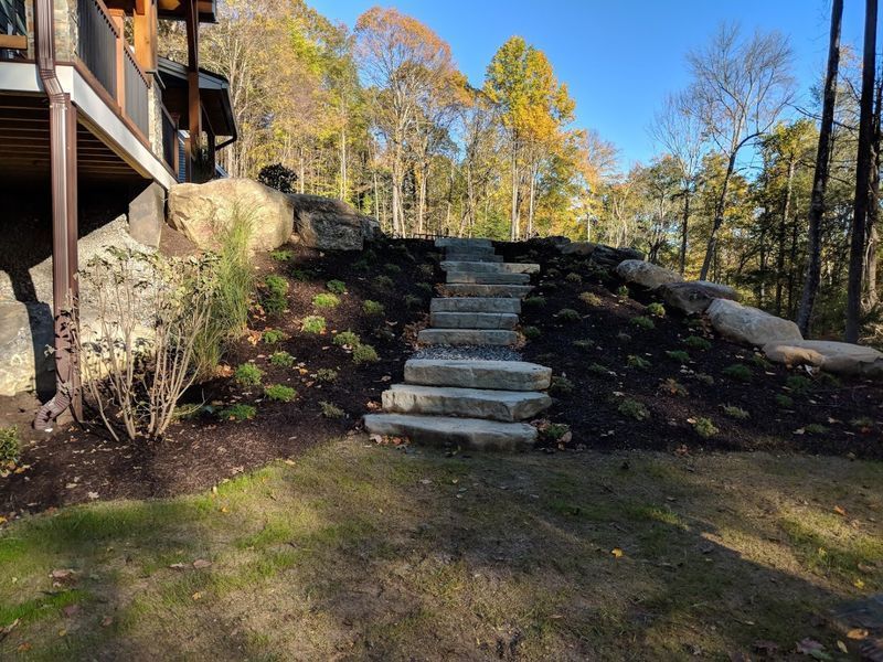 A set of stairs leading up to a house in the woods.