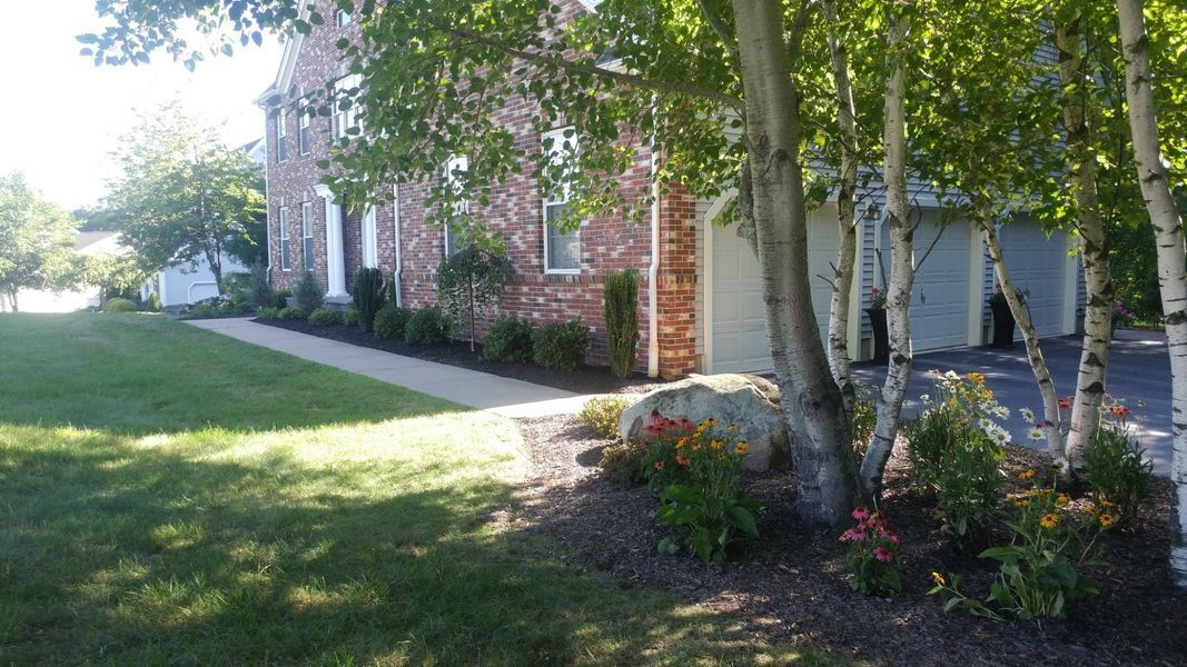 A house with a lush green lawn and trees in front of it.