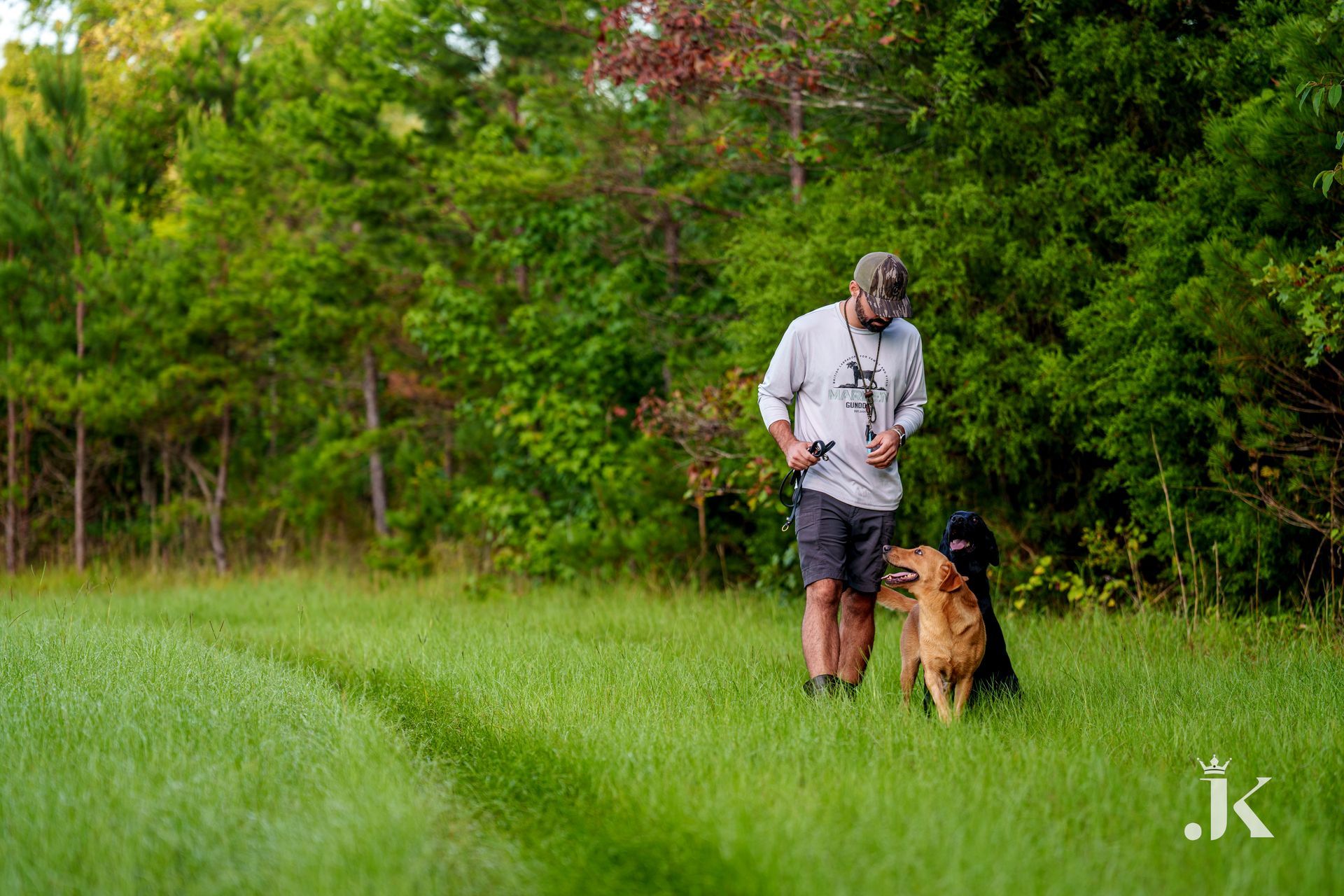 Man walking two dogs in a grassy field; one black, one golden. Trees in the background.
