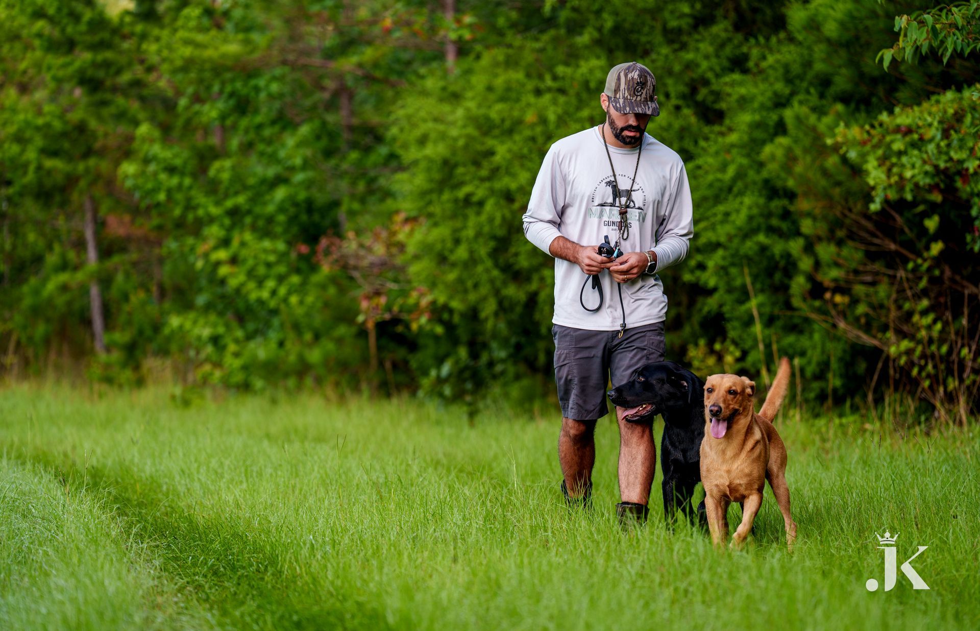 Man with two Labrador dogs in a grassy field, wooded background. The man holds a leash.