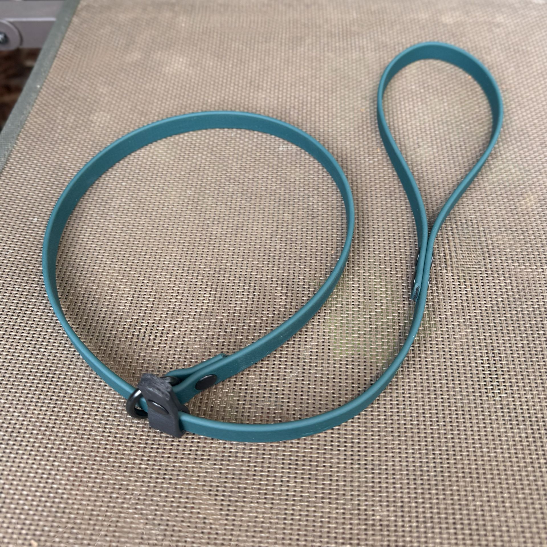 Handler's Lead