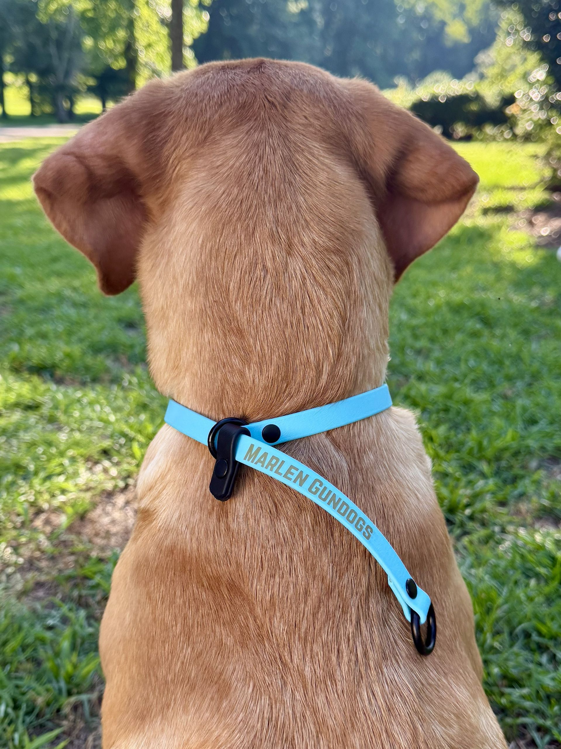 Slip Collar