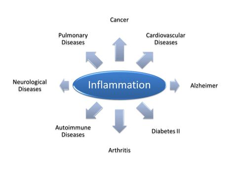 Images showing reasons for Inflammation