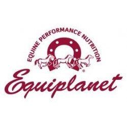 Un logotipo para la nutrición de rendimiento equino con caballos y una herradura.