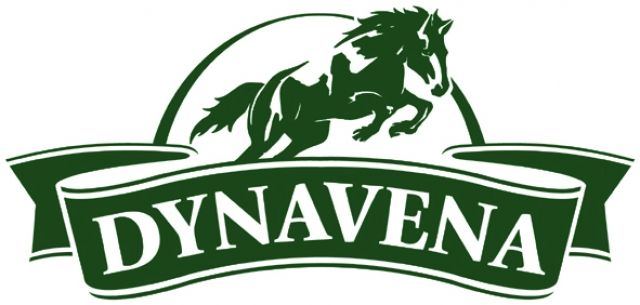 Un logotipo para Dynavena con un caballo.