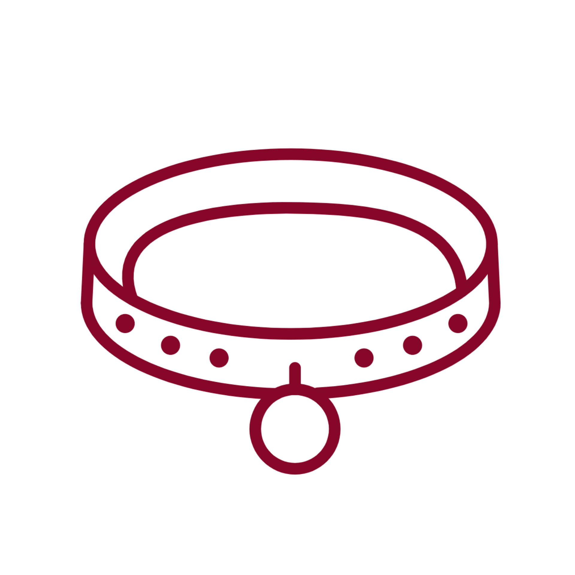 Un dibujo lineal de un collar de perro con una correa atada a él.