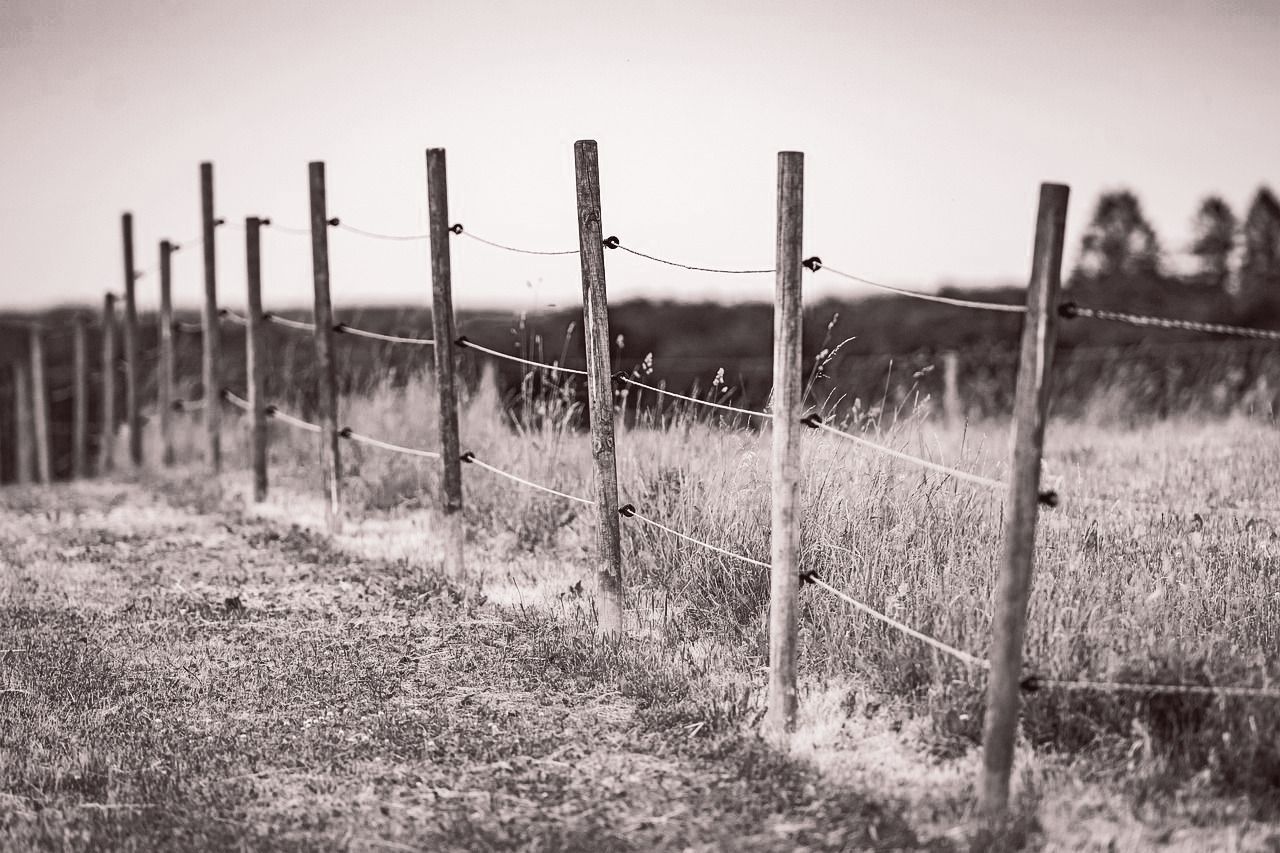 Una fotografía en blanco y negro de una cerca de alambre de púas en un campo.