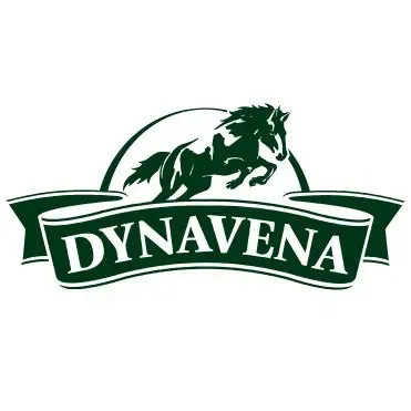 Un logotipo para Dynavena con un caballo.