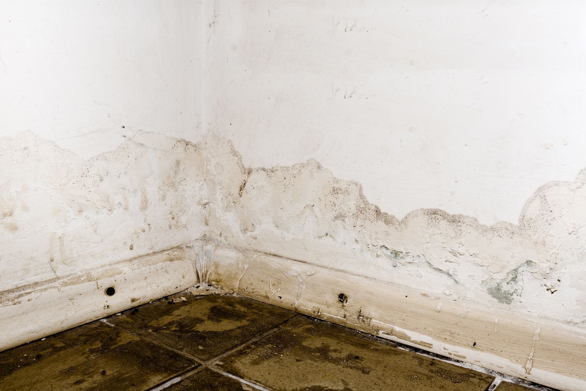 A corner of a room with a white wall and a tiled floor.