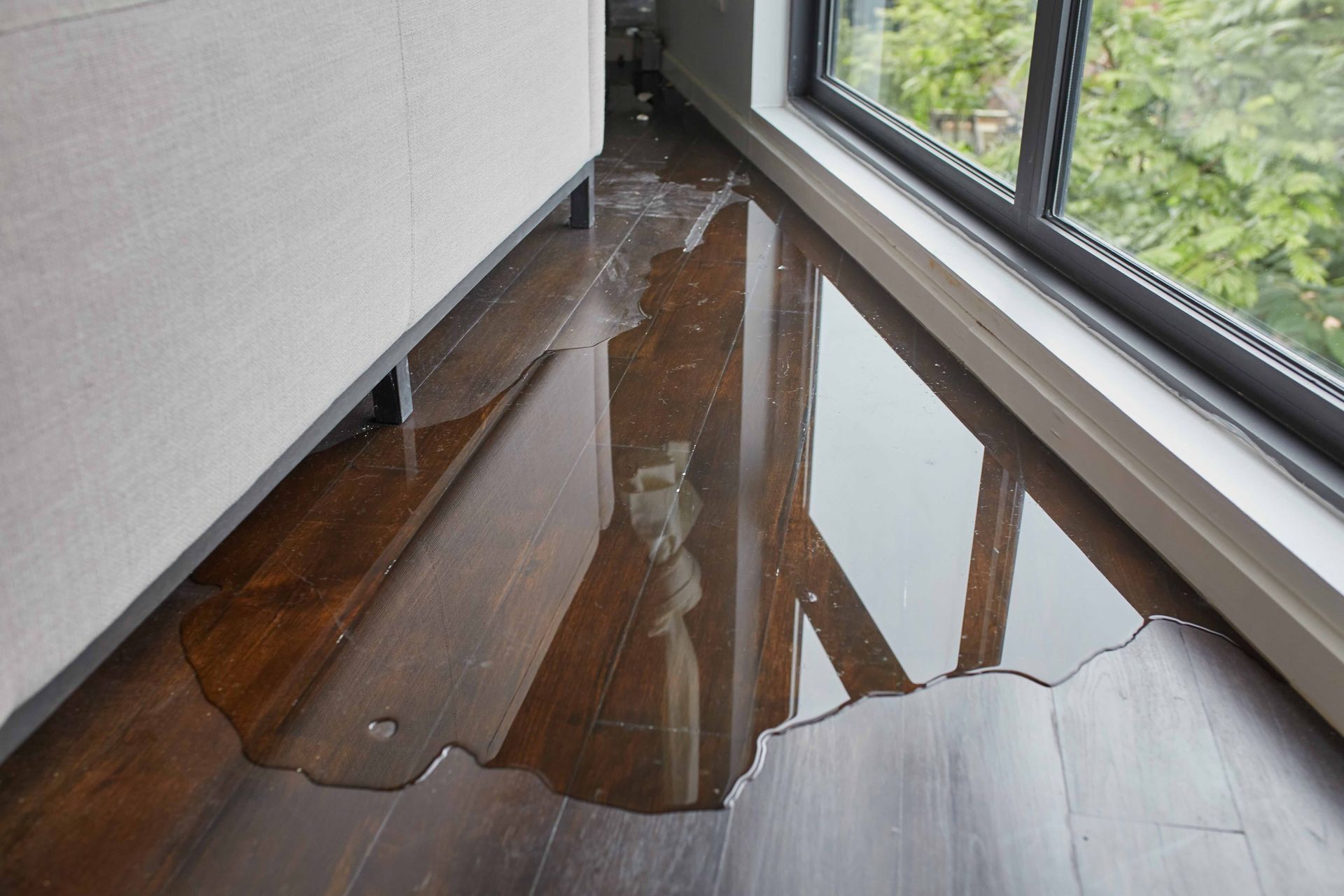 a puddle of water on a wooden floor next to a window .
