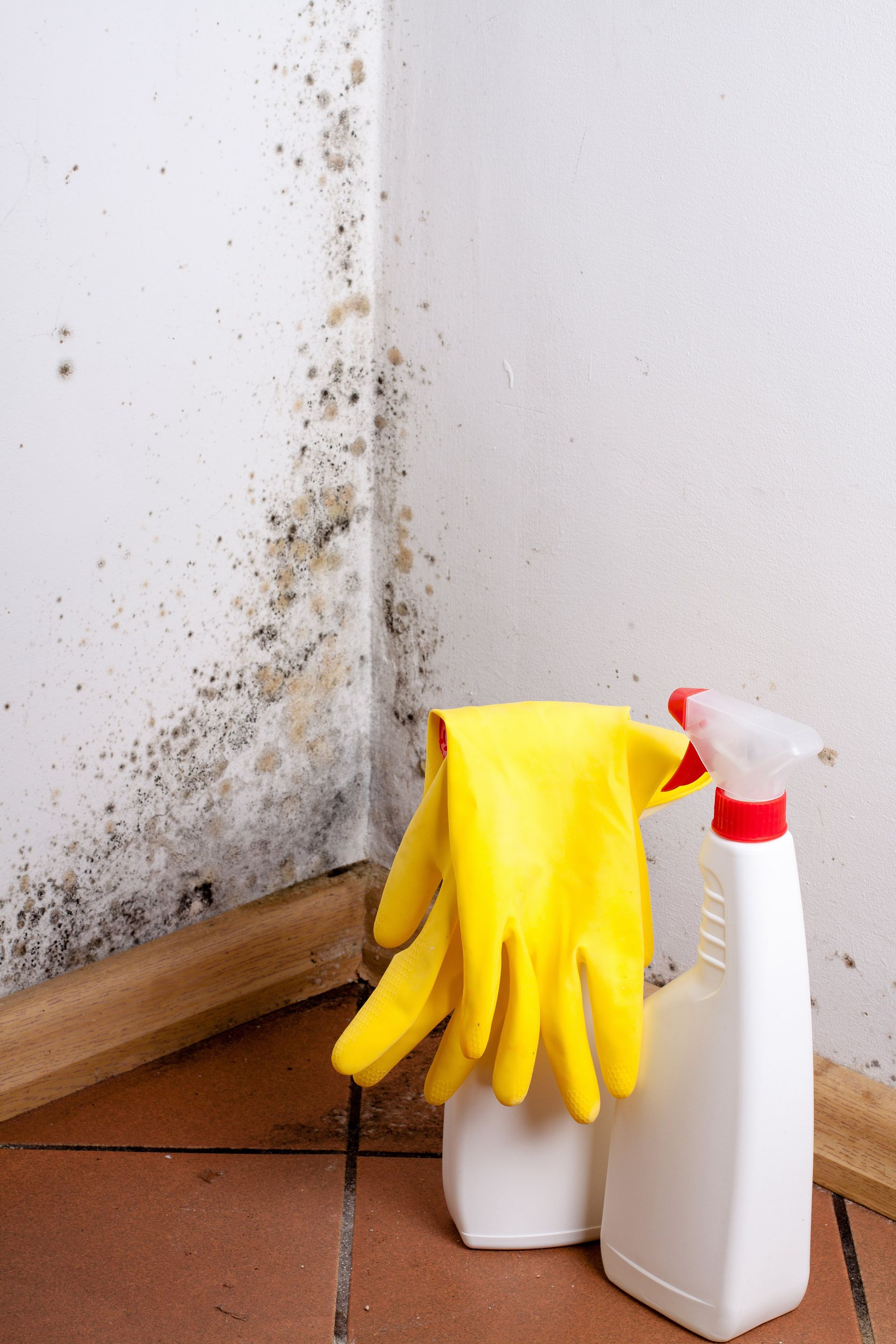 a pair of yellow rubber gloves and a spray bottle are sitting on the floor in front of a mouldy wall .