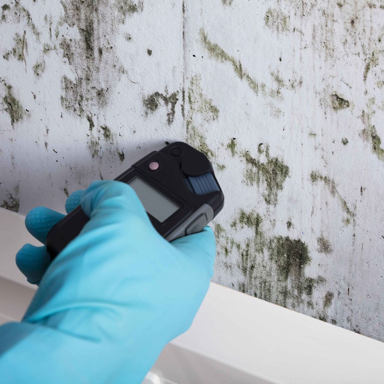 a person wearing blue gloves is using a thermometer to check for mold on a wall .