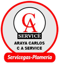 logo ca service