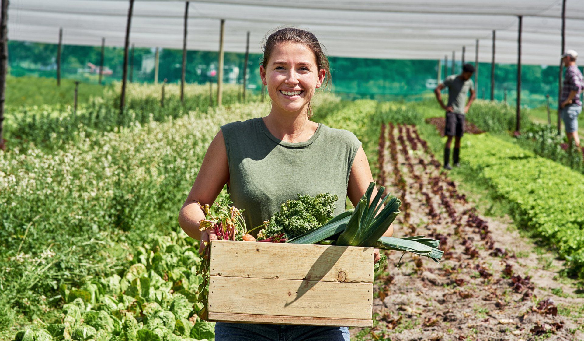 Agriculture worker holding box of vegetables