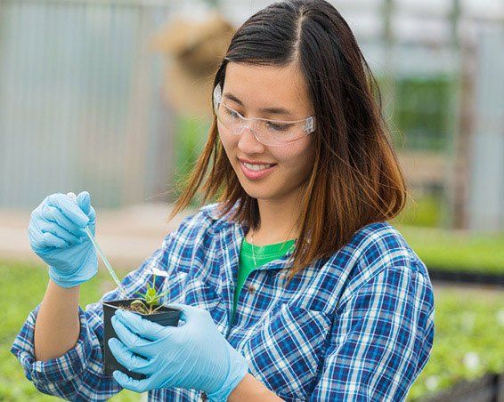 Studying wine or agriculture at uni?