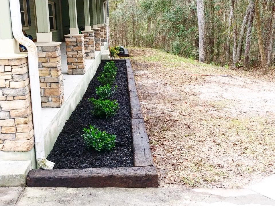 A lush green garden with lots of plants and rocks