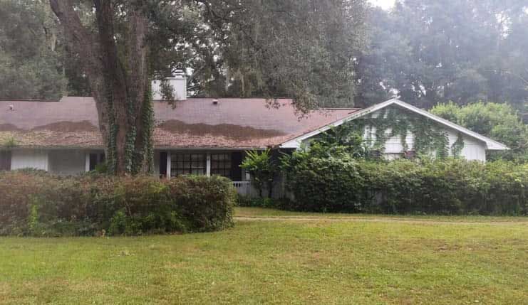 A house with a tree in front of it and a lush green yard.