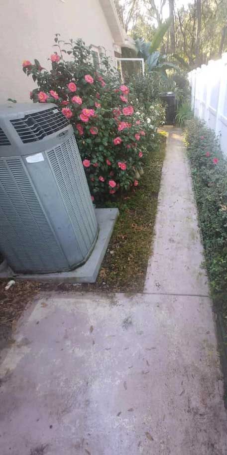 An air conditioner is sitting on the side of a sidewalk next to a bush with pink flowers.