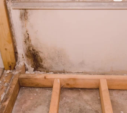 Certified mold inspections in Charlotte, NC