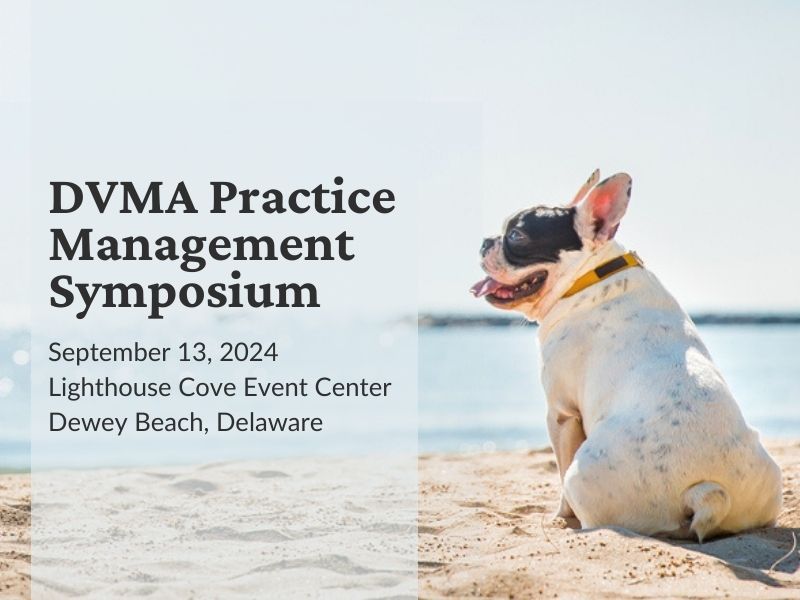 a dog is sitting on the beach with the words dvma practice management symposium on the bottom