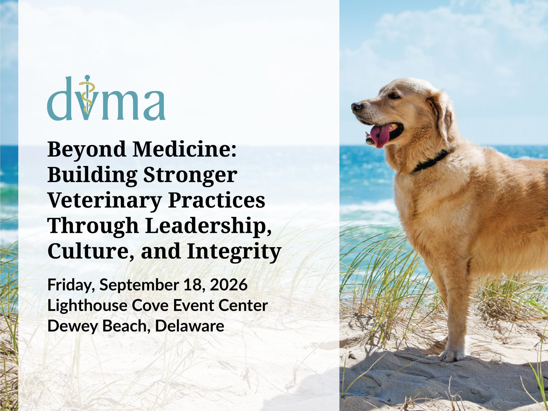 a dog is laying on a person 's lap while using a laptop computer .