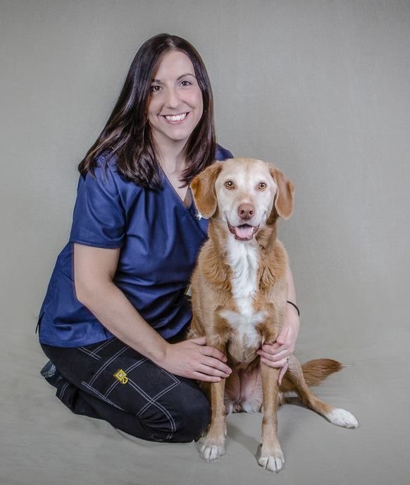 a woman is sitting on a rock with a dog .