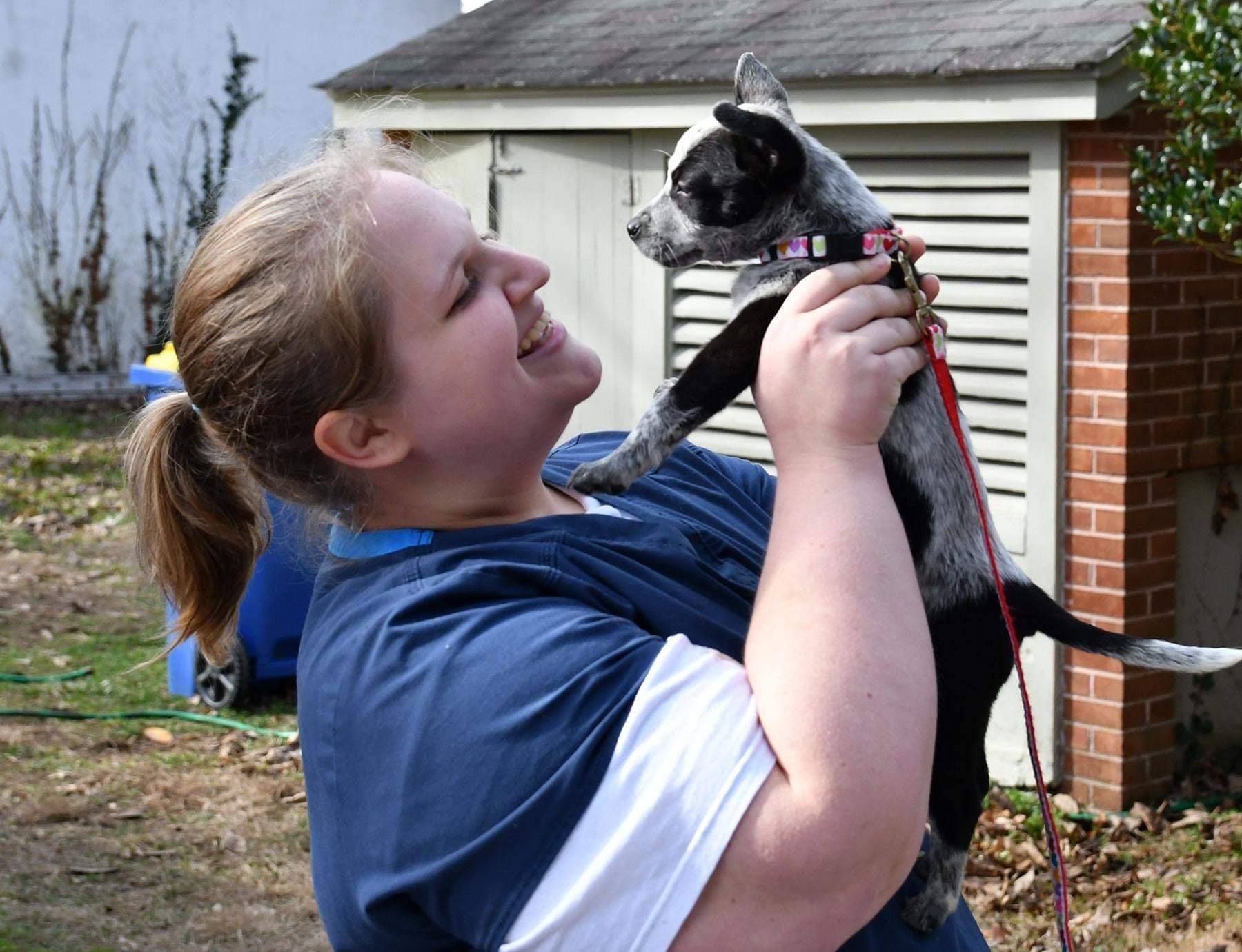 a woman is sitting on a rock with a dog .