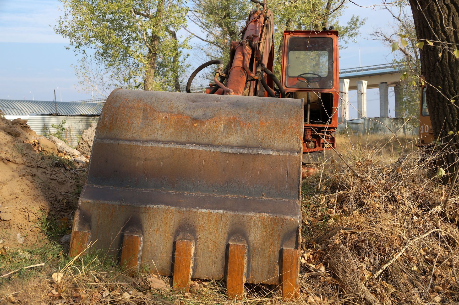 Excavator clearing debris beside a tree, creating a cleaner environment.