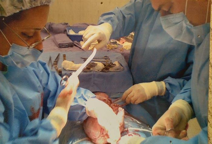 DRA. AÍDA DEL C. ESCALANTE M - GINECOLOGÍA, OBSTETRICIA Y ULTRASONIDO