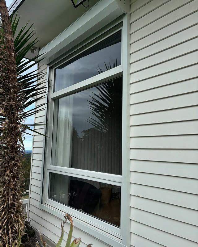 Window of a white house with white siding. A palm tree is to the left of the window.