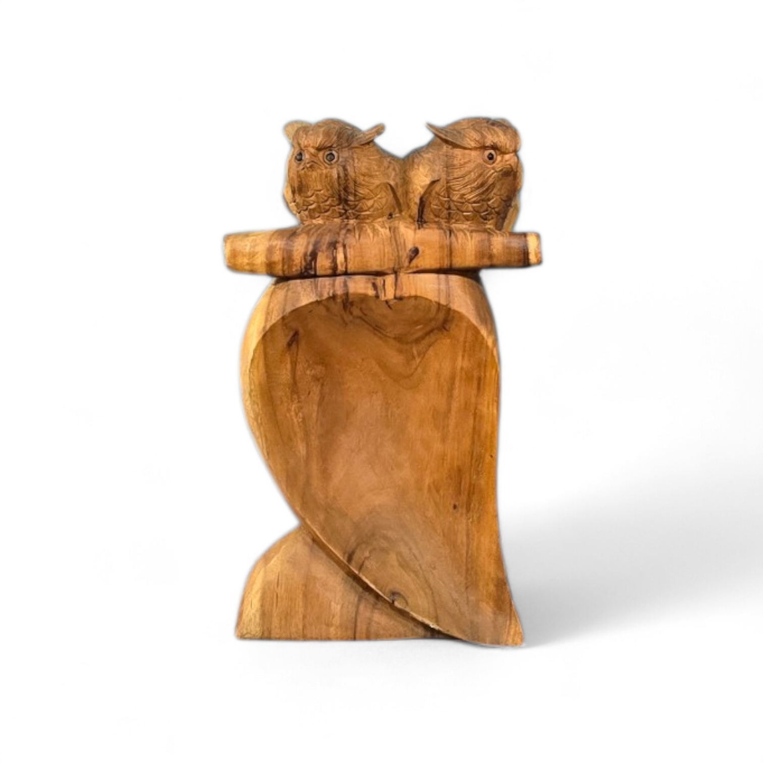 Houten uiltjes op stam