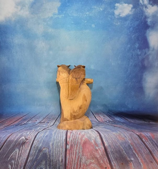 Houten uiltjes op stam