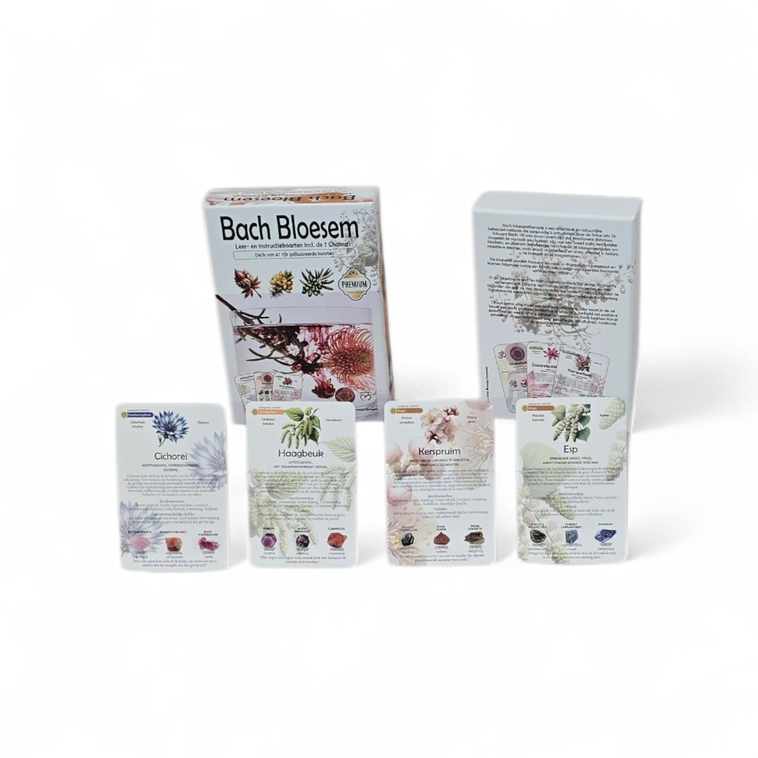 Bach Bloesem (instructie en leerkaarten)