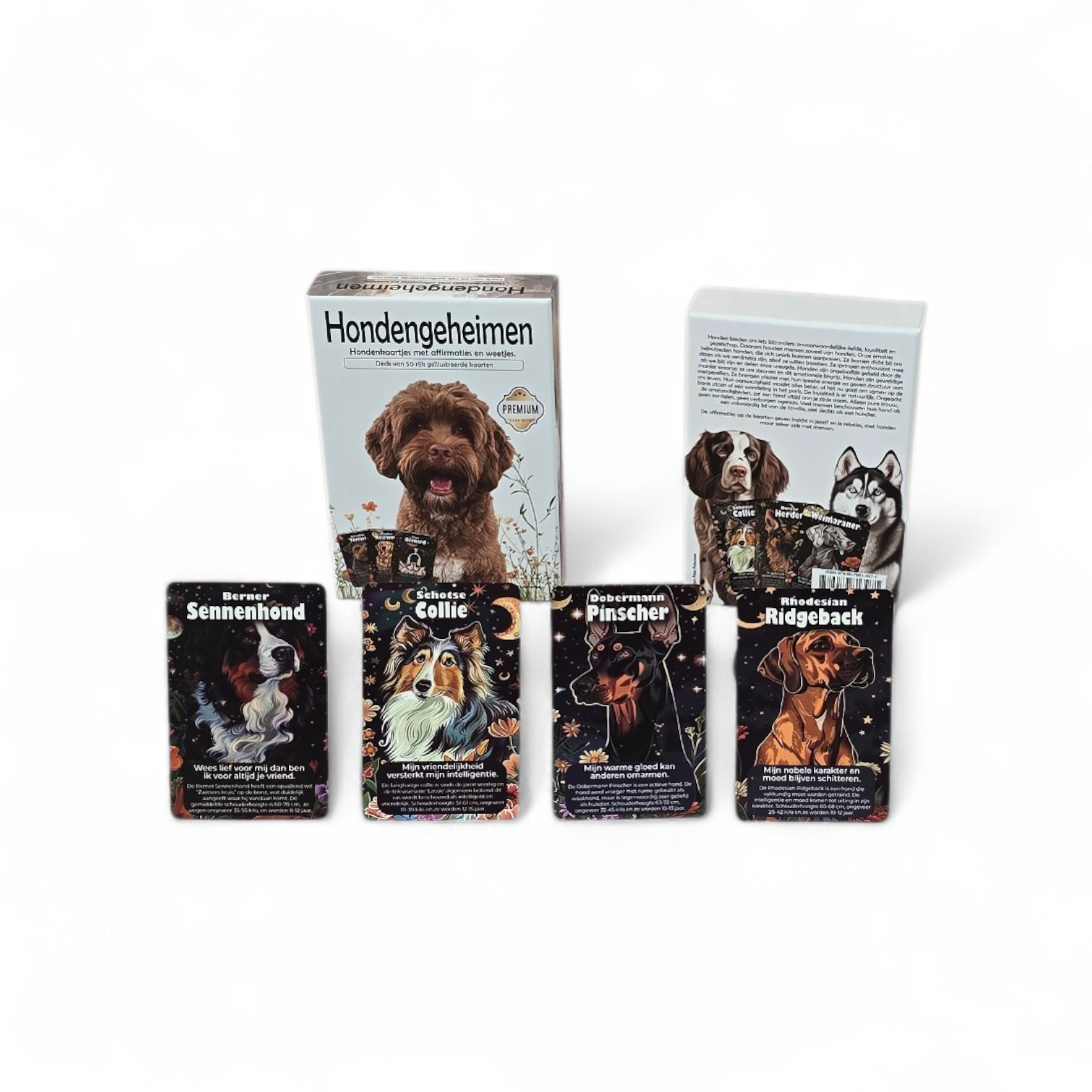 Hondengeheimen (hondenkaartjes met weetjes en affirmaties)