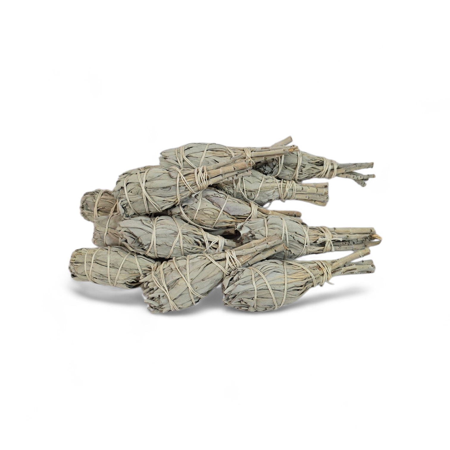 Witte salie XXL 8-9 inch