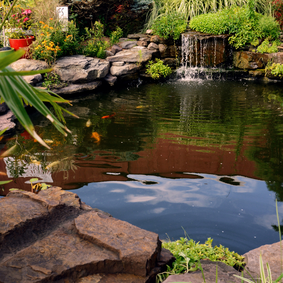 A pond in a garden with a waterfall in the background