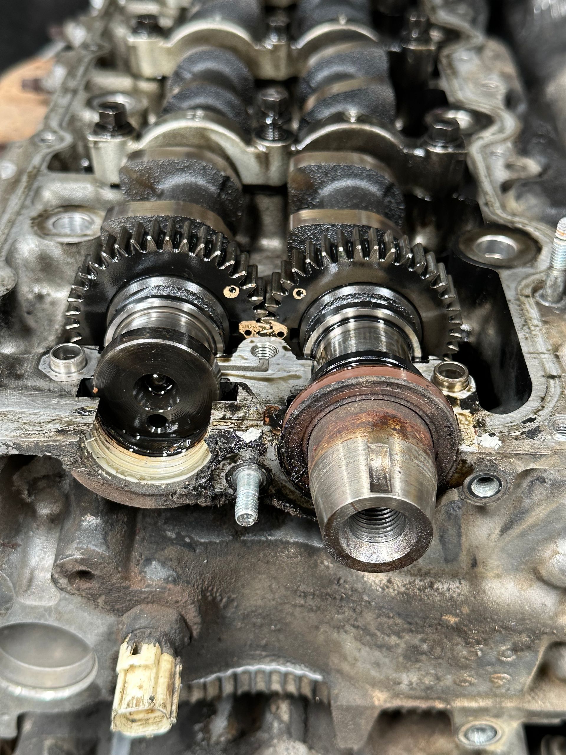A Man is Working on the Engine of a Car — One Stop Service and Suspension Centre In Port Macquarie, NSW