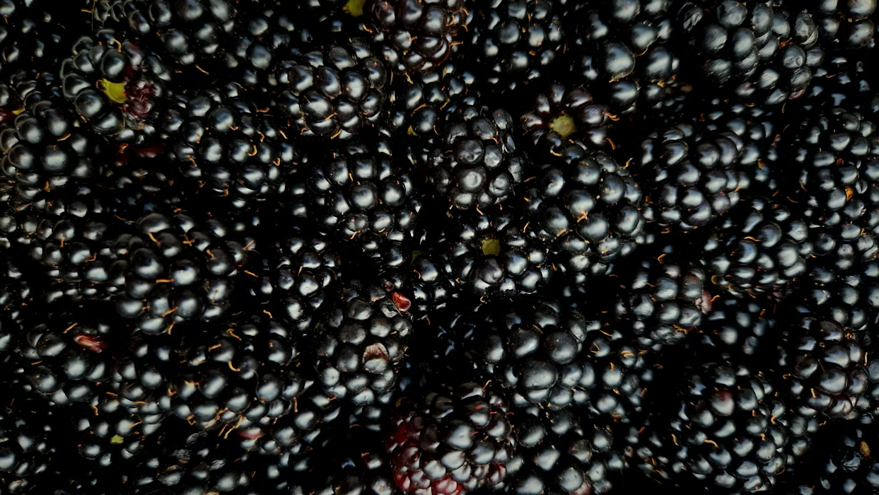 Blackberry Brandy BBQ