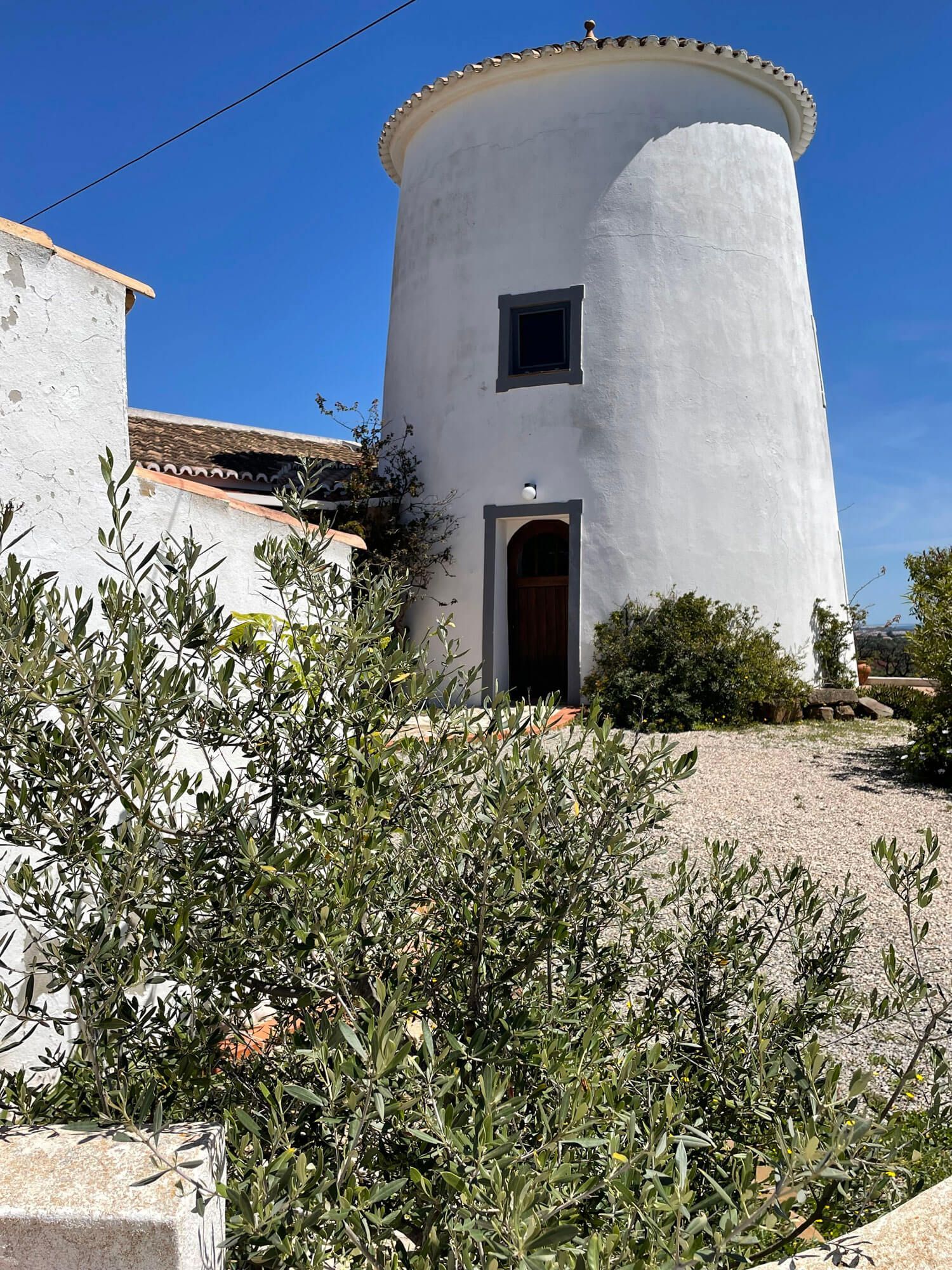 Algarve: An einem sonnigen Tag ist eine weiße Windmühle von Bäumen und Büschen umgeben.
