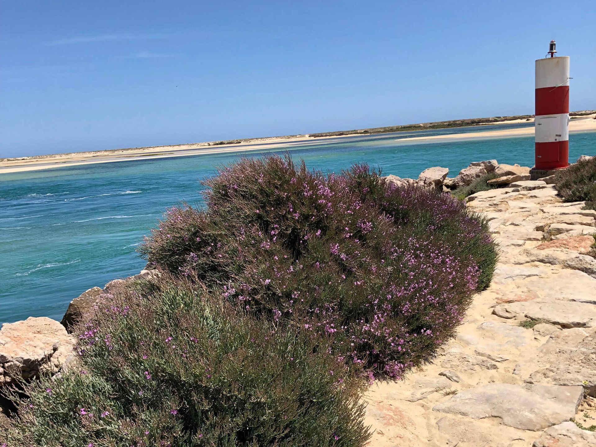 Algarve: Ein rot-weißer Leuchtturm steht am Meer.