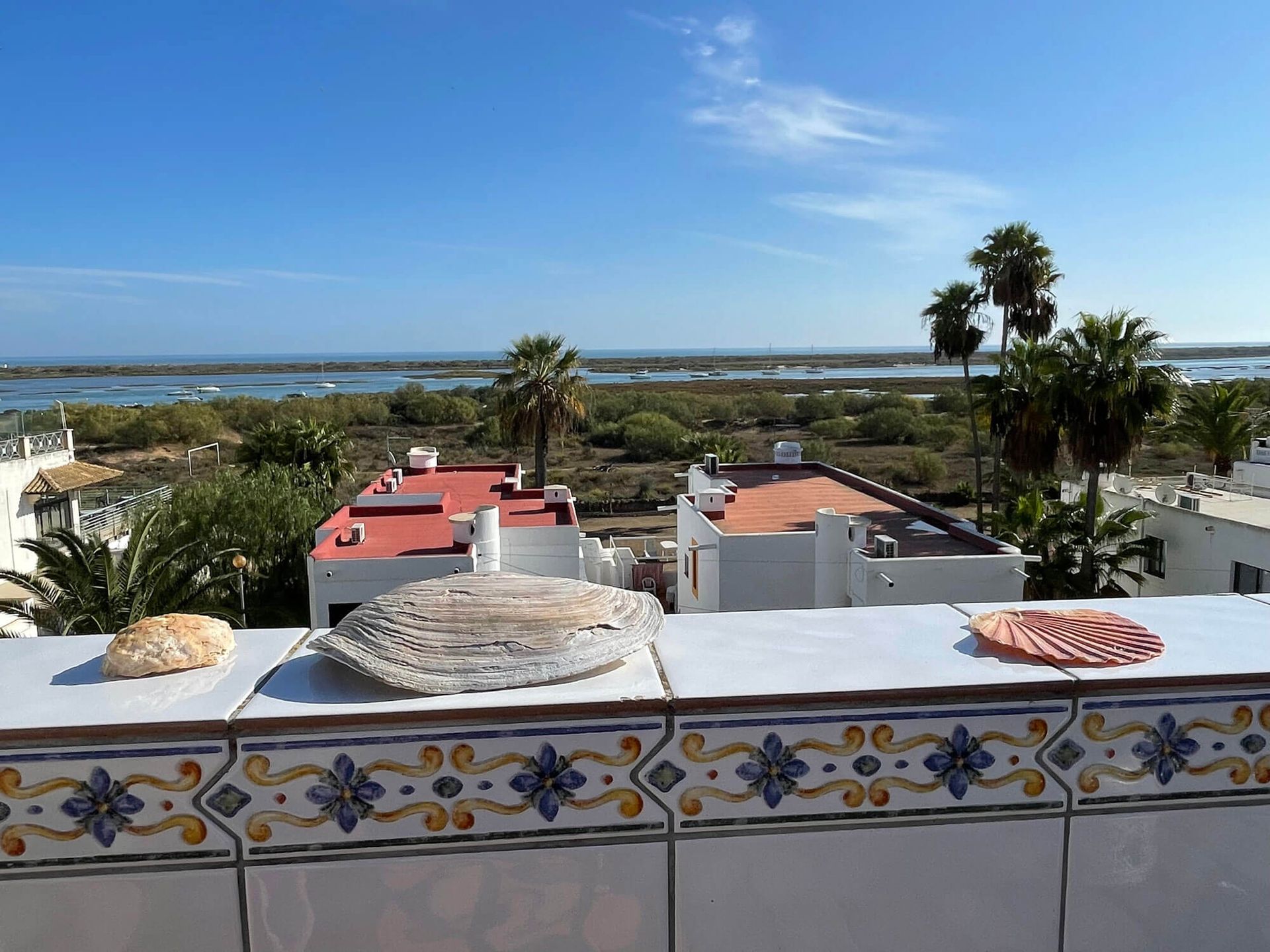 Ein Dach mit Blick auf das Meer und die Palmen, Studio Cabanas