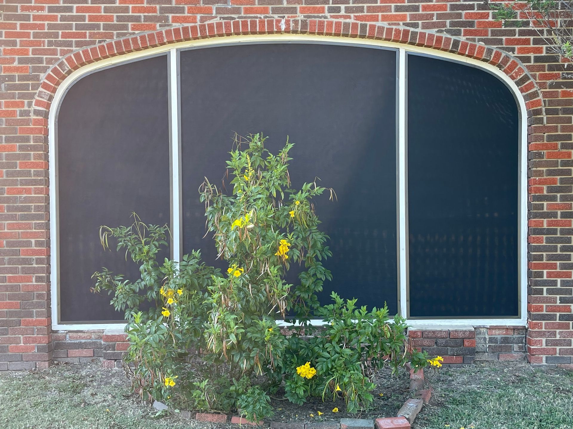 A brick building with a screened in window and a bush in front of it